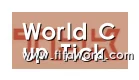World Cup tickets合作伙