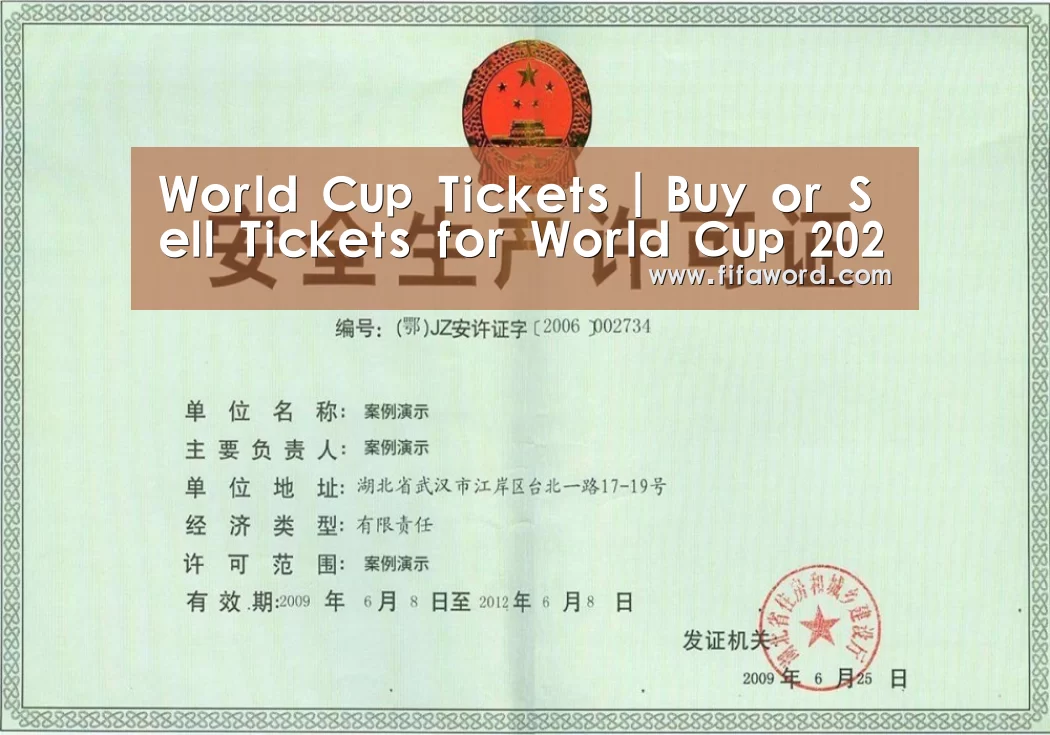 World Cup tickets荣誉证书三(图1)