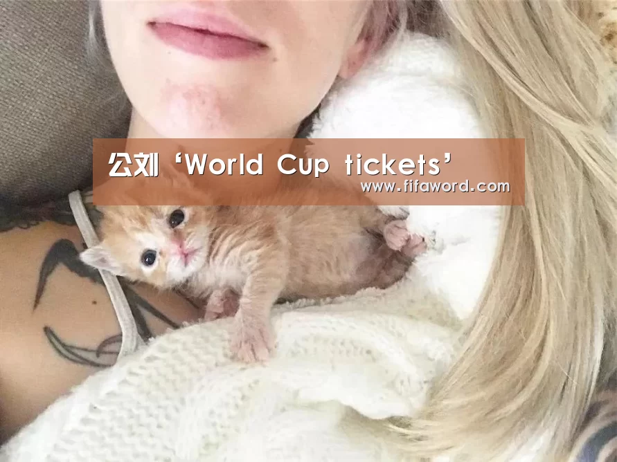 公刘‘World Cup tickets’(图1) World Cup tickets